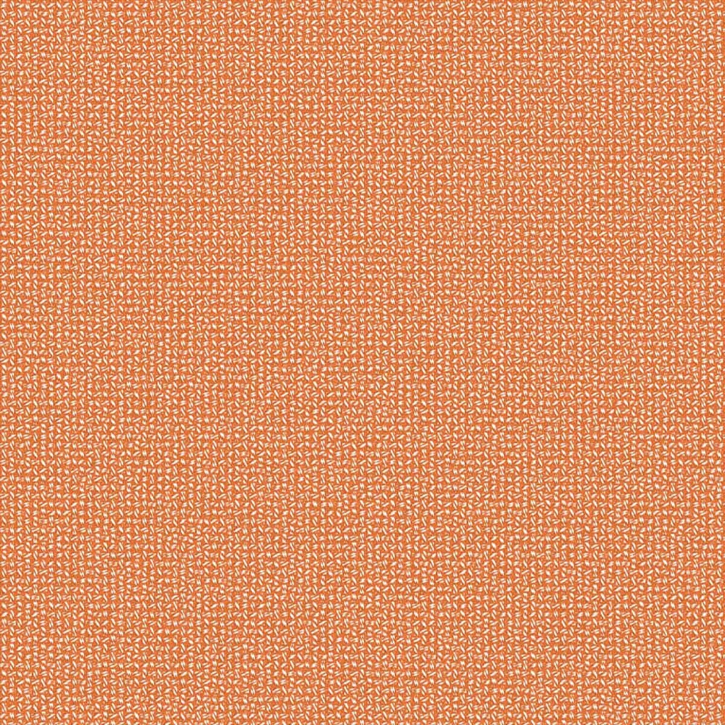 [452050] ORANGE,PLAIN