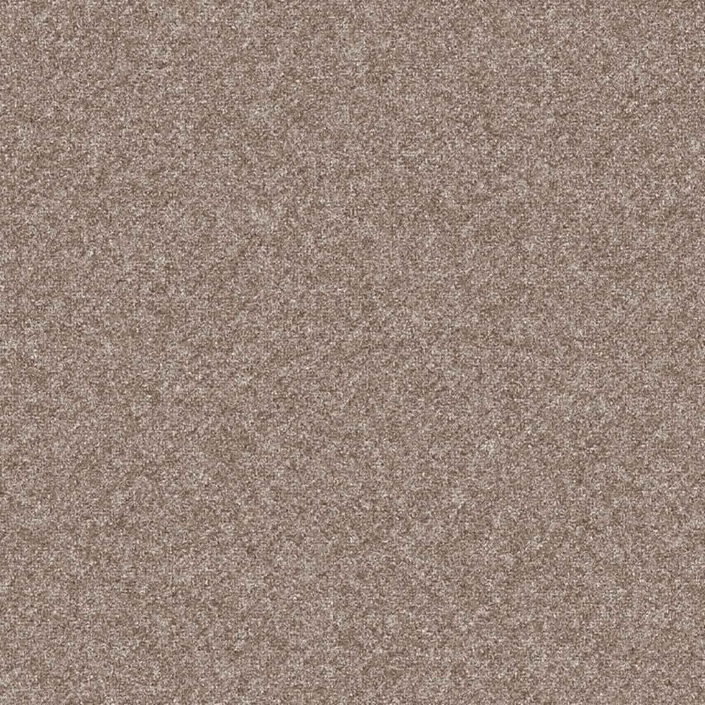 [452134] KHAKI,PLAIN