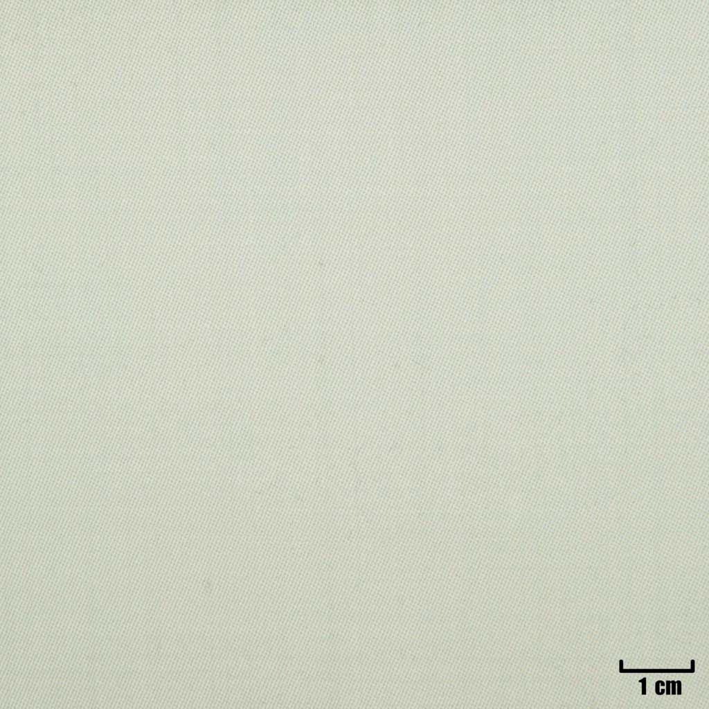 [500336] OFF WHITE, PLAIN