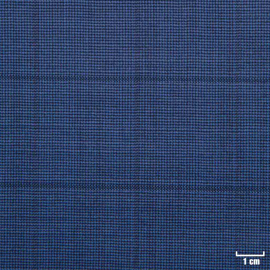 [501335] BLUE, CHECKS