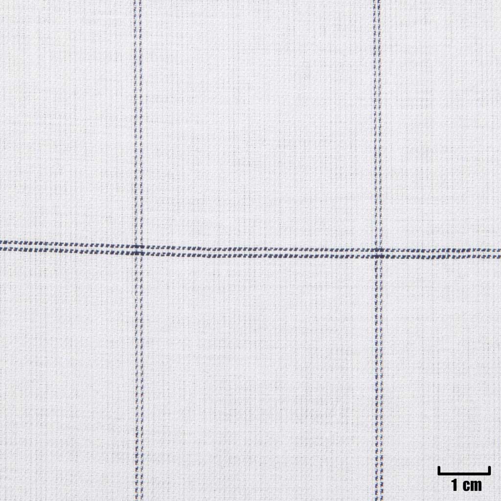 [501613] WHITE, CHECKS