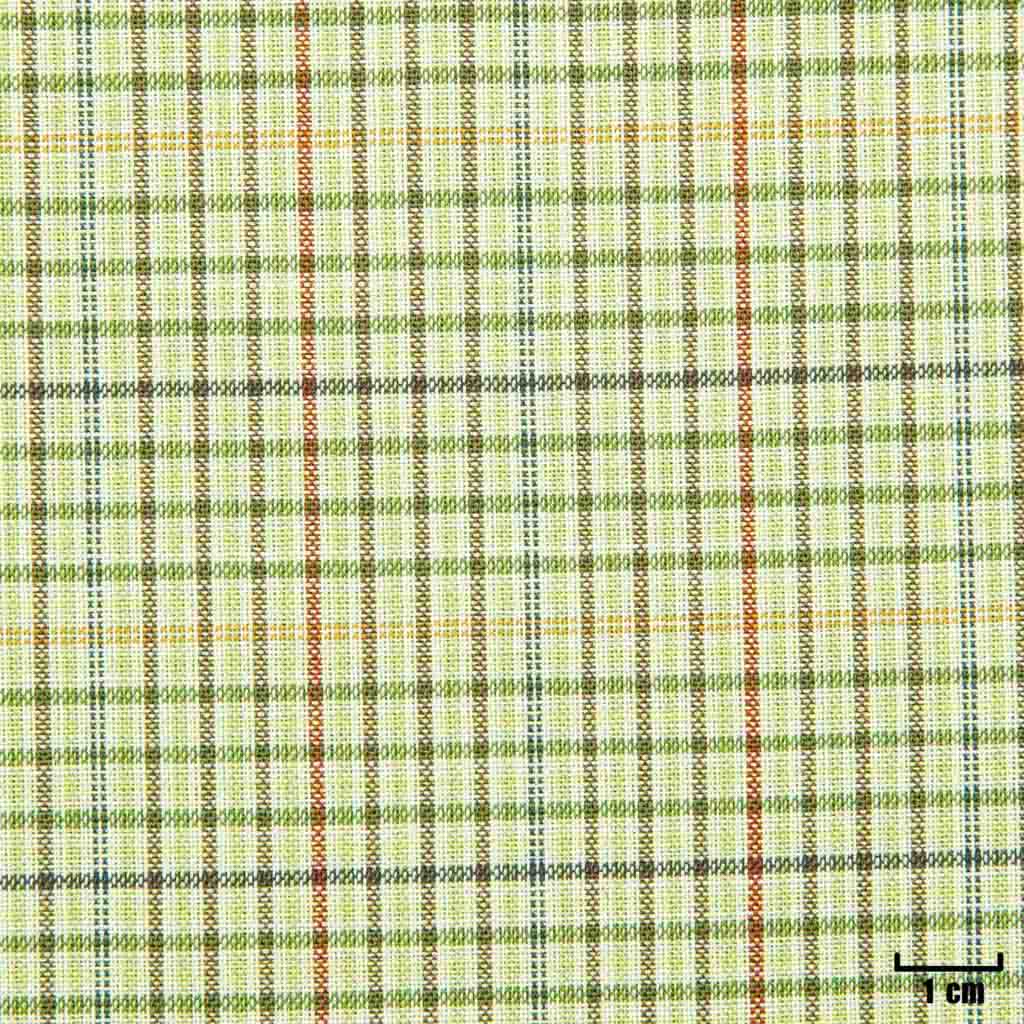 [501616] GREEN, SMALL CHECKS