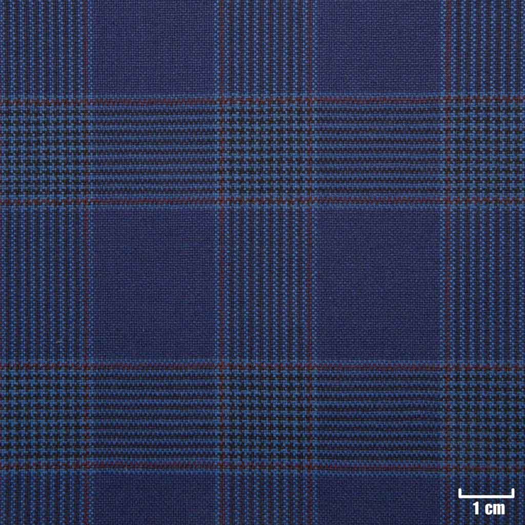 [502311] BLUE, RED CHECKS