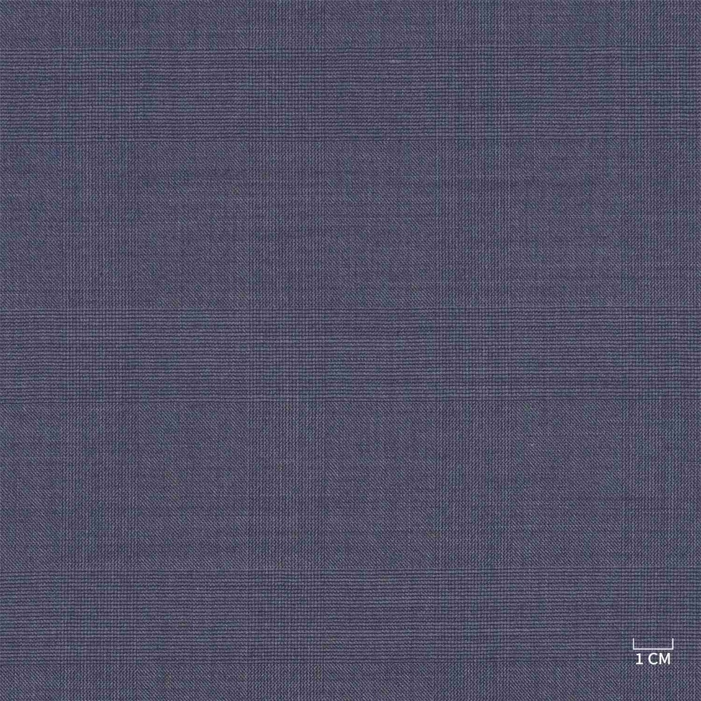[610304] BLUE, CHECKS (103/04)