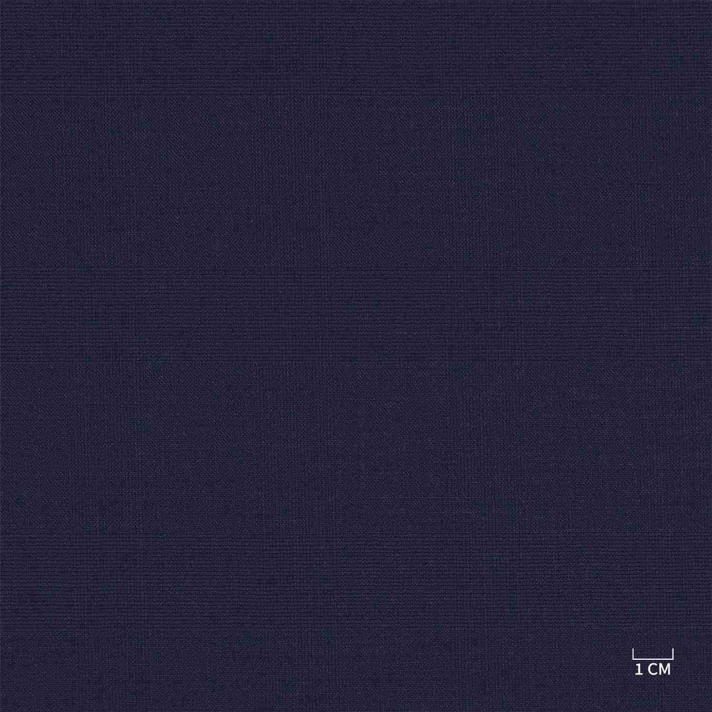 [610305] BLUE, CHECKS (103/05)