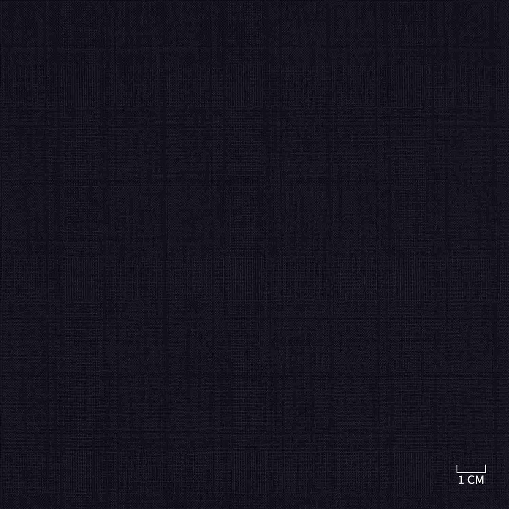 [610317] BLUE, CHECKS (103/17)
