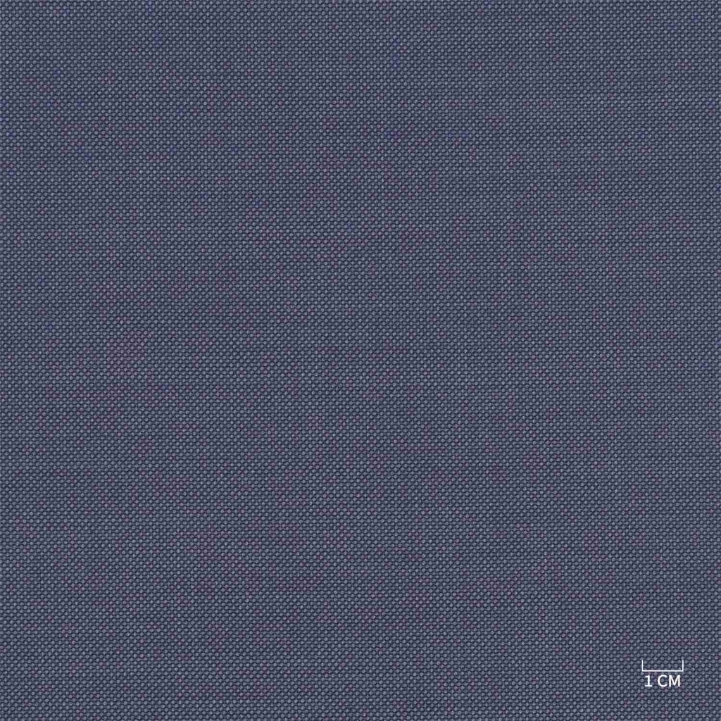 [610320] BLUE, BIRDEYE (103/20)