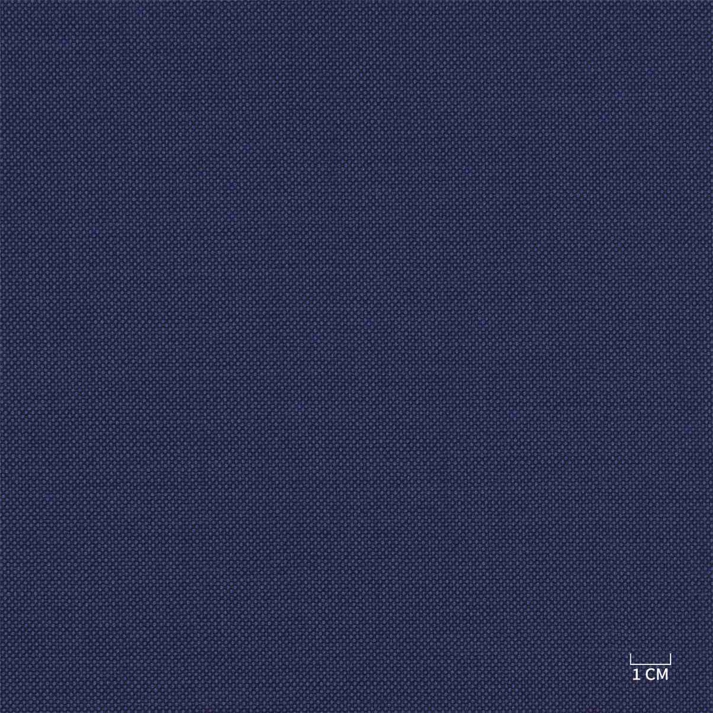 [610321] BLUE, BIRDEYE (103/21)
