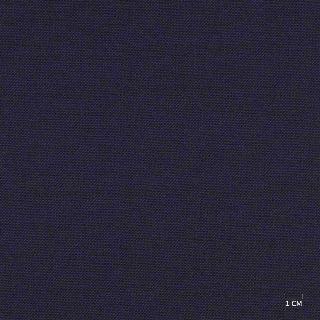 [610322] DARK BLUE, BIRDEYE (103/22)