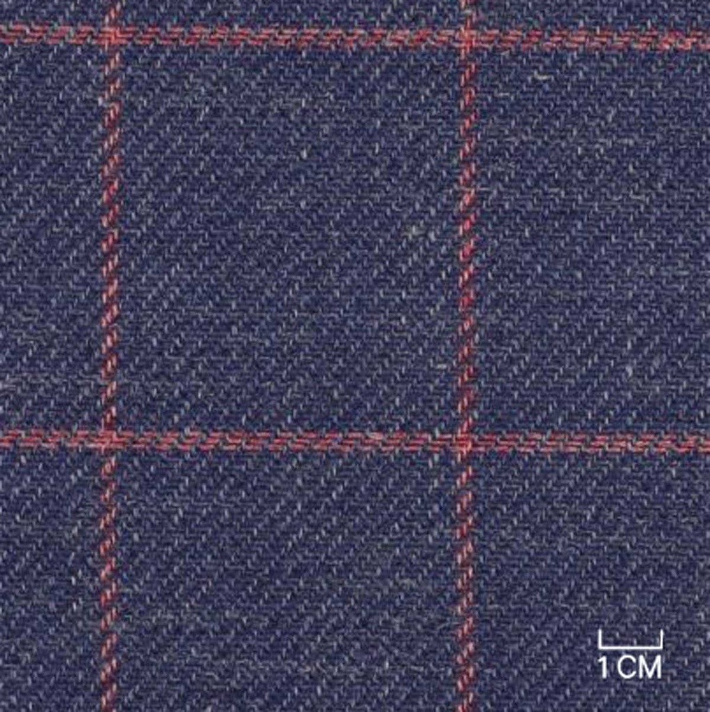 [610521] BLUE, RED CHECKS (106/21)