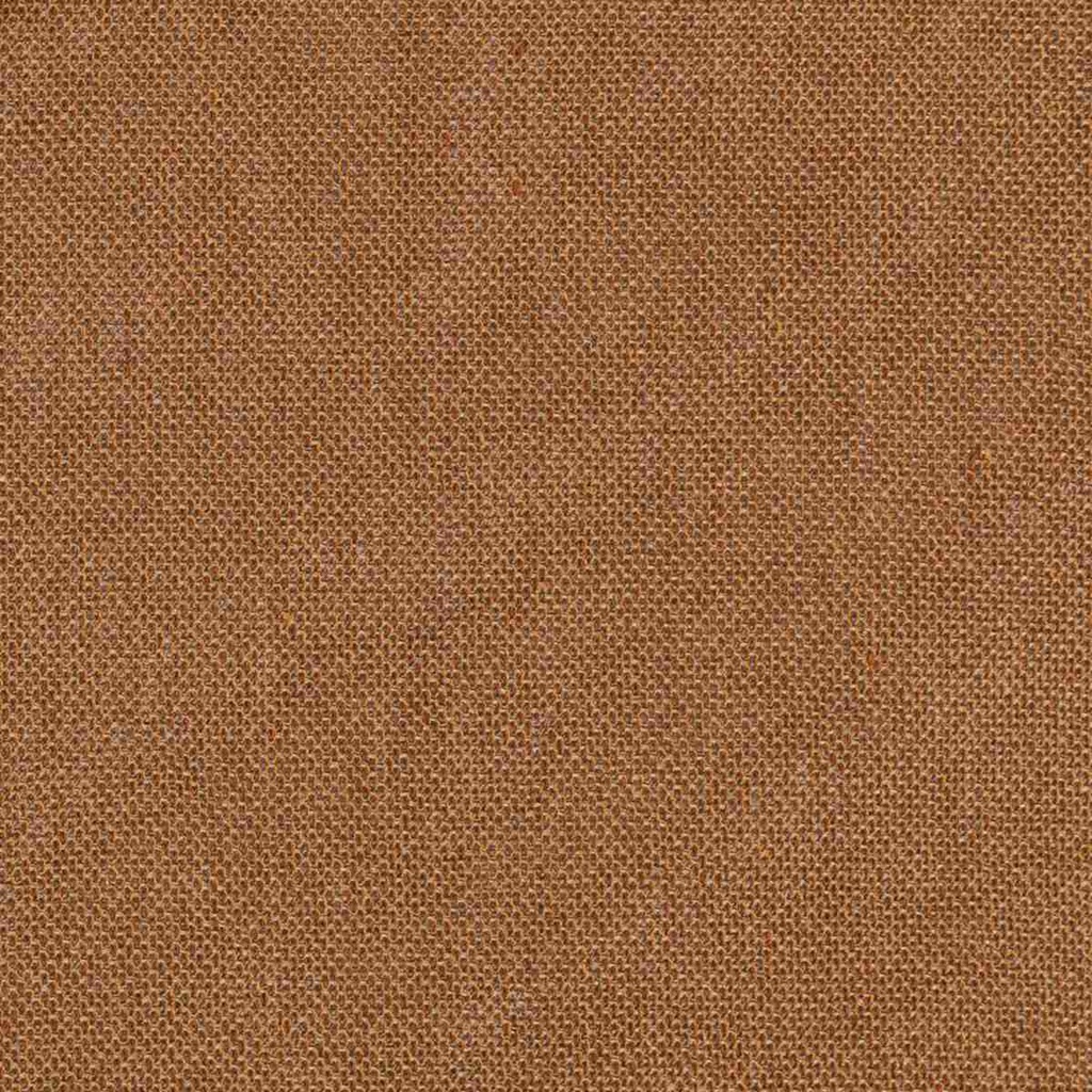 [660238] 棕色麦粒组织