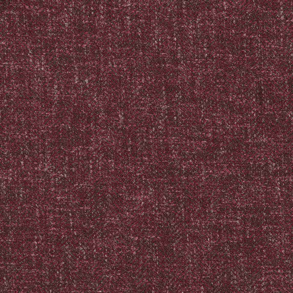 [662403] FE303