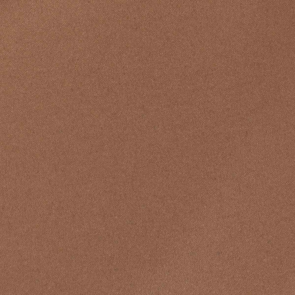 [664806] 棕色纯色