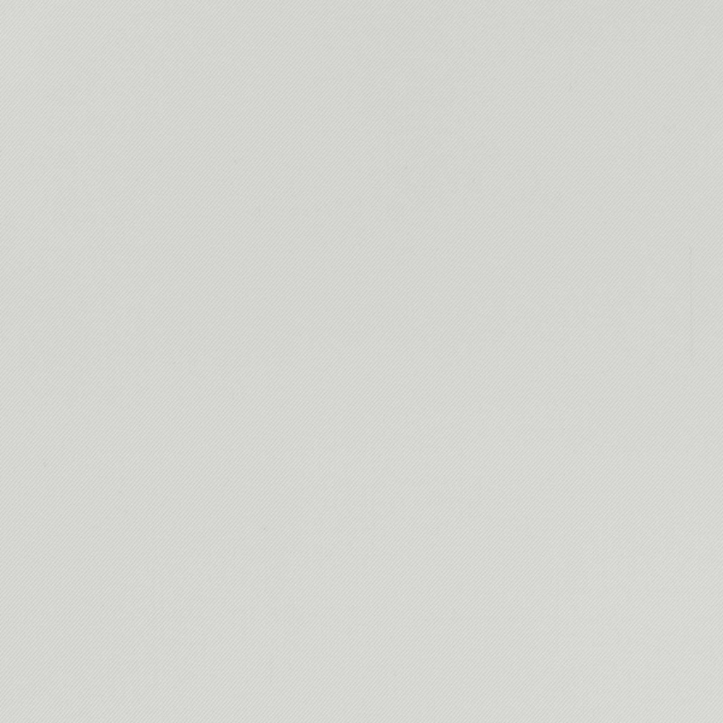 [664861] 米白色斜纹