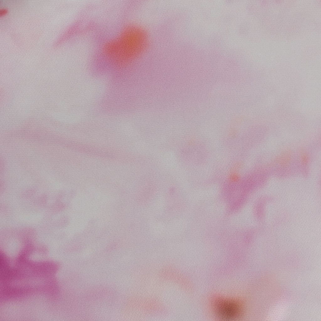[665051] DS62151