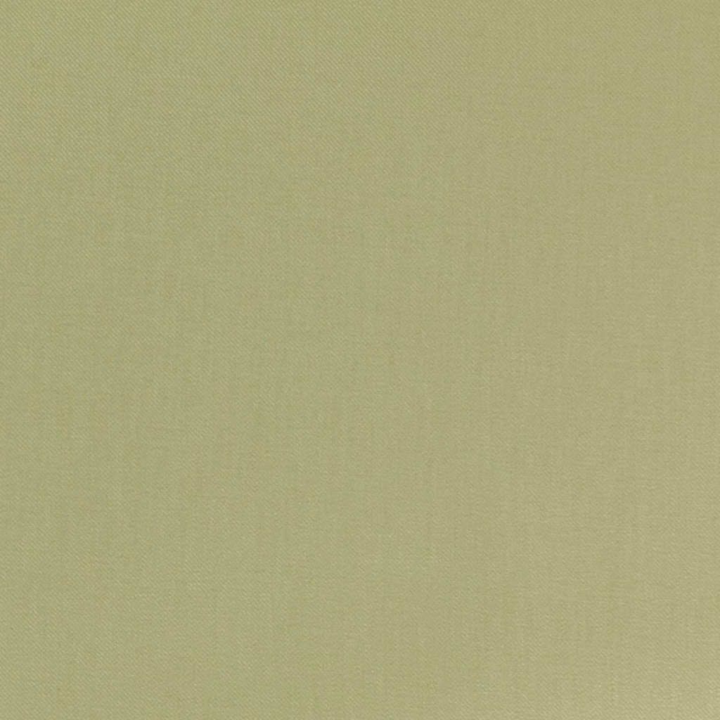 [665337] 浅绿色斜纹