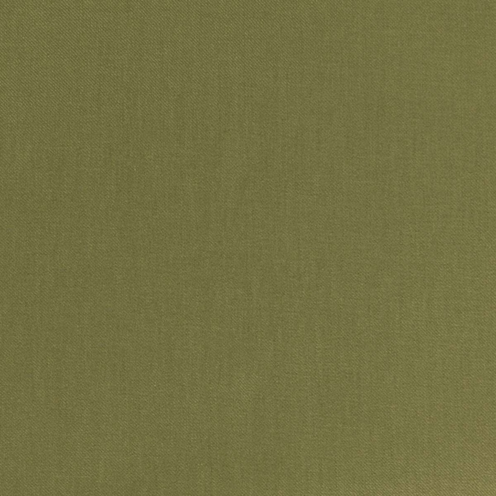 [665338] 绿色斜纹