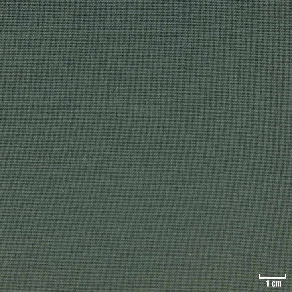 [69066] GREEN, PLAIN
