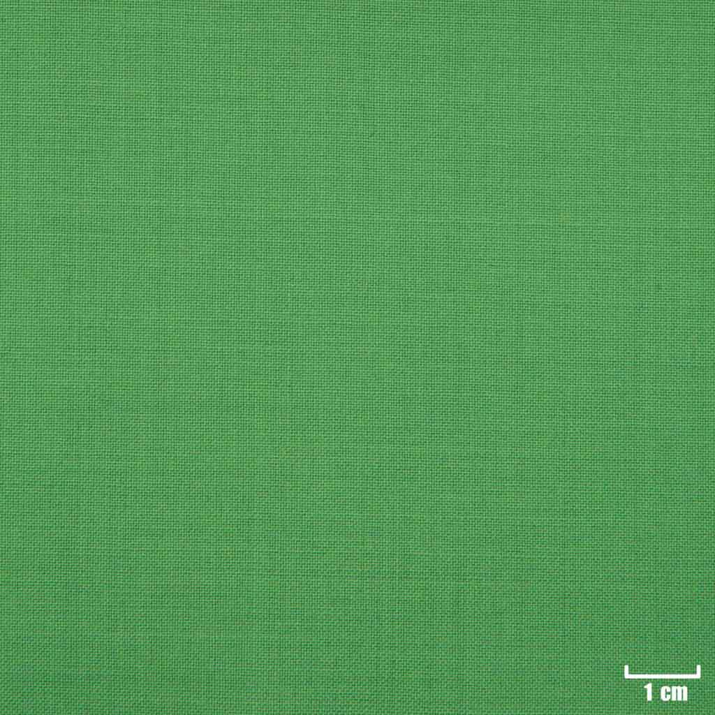 [69727] GREEN, PLAIN
