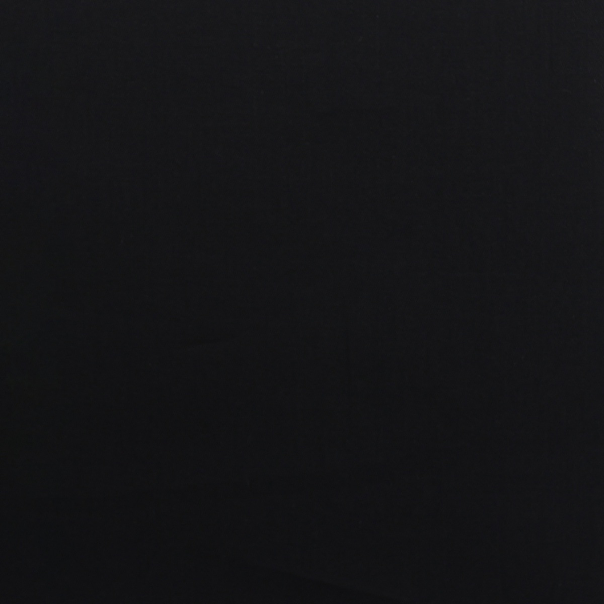 [701821] 黑色素色