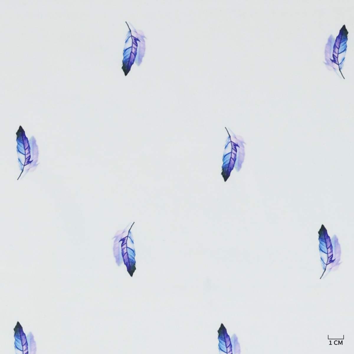 [701902] PURPLE PLUME