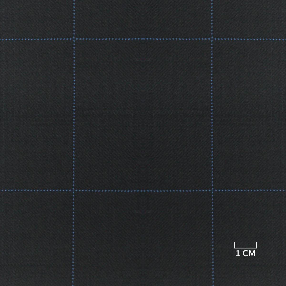 [810219] BLUE, BLUE CHECKS