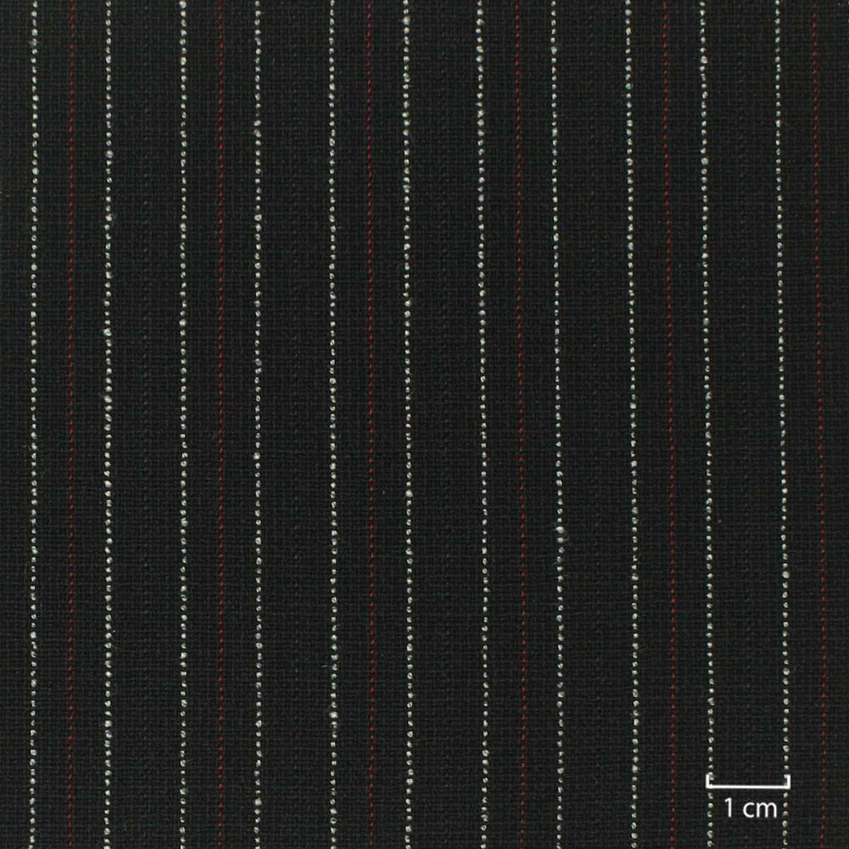 [810535] BLACK, WHITE STRIPES
