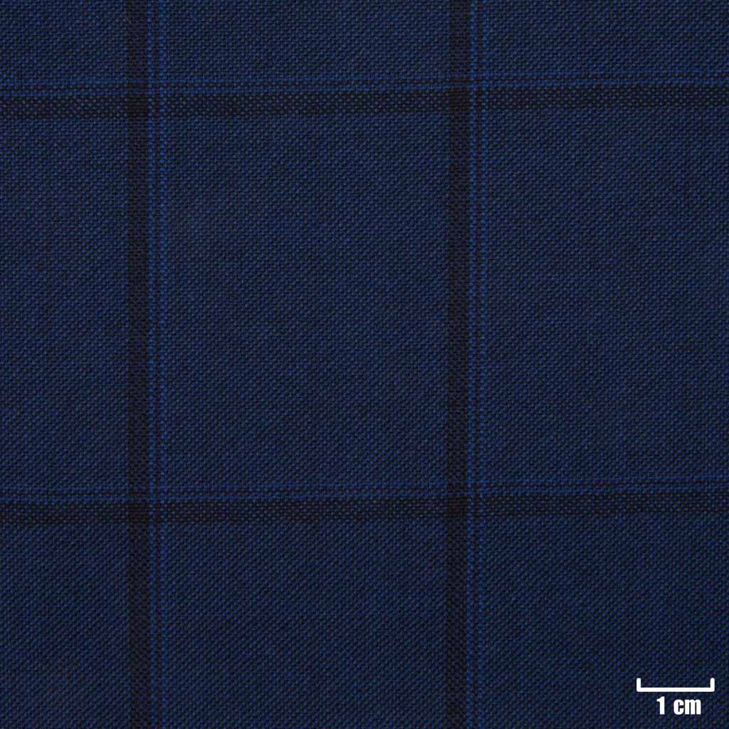 [822109] BLUE, BLACK CHECKS