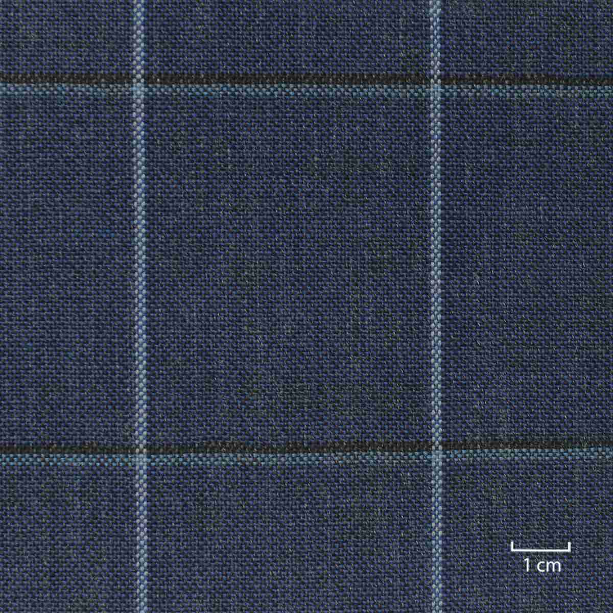 [822317] BLUE, CHECKS