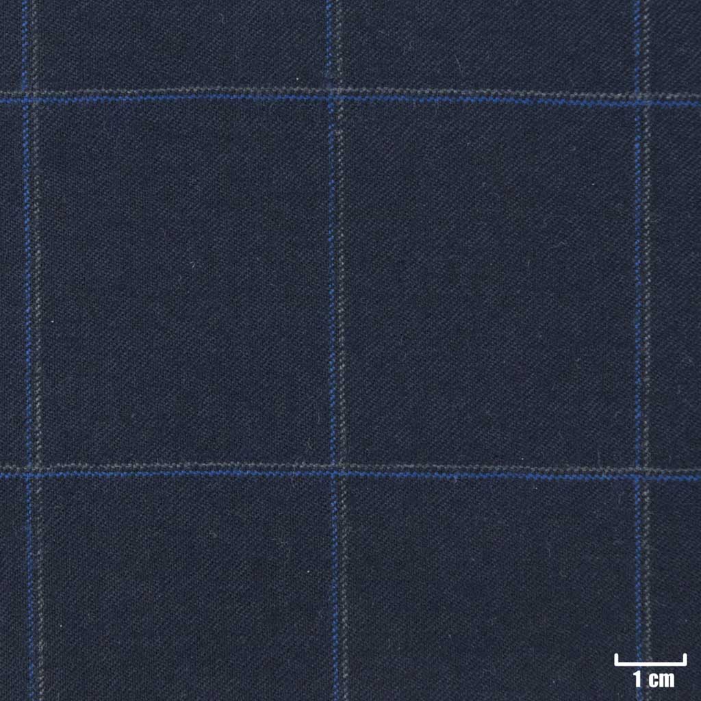 [823407] BLUE, CHECKS
