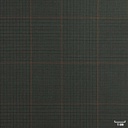 [823605] 绿色与红色格纹