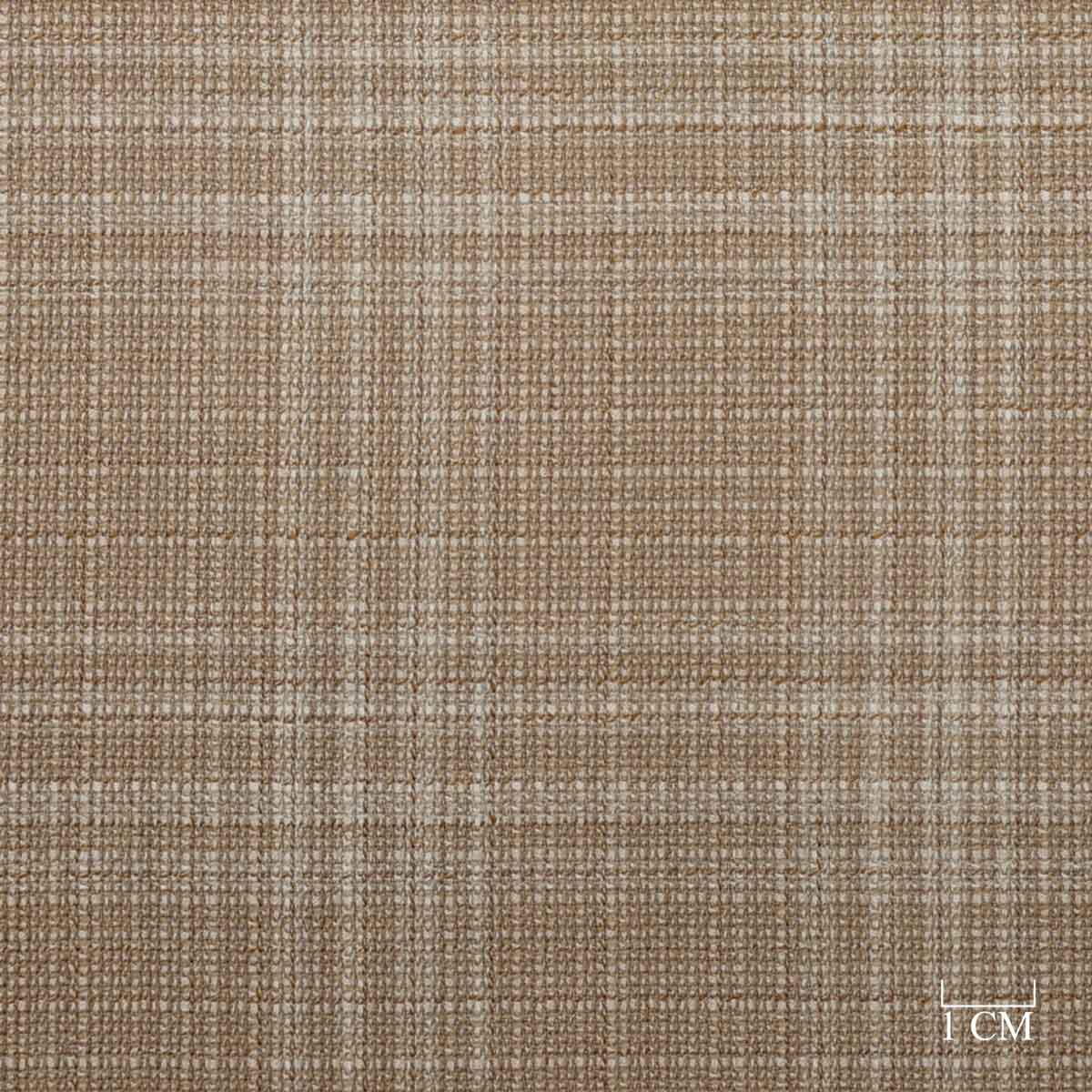 [824040] BROWN,CHECKS