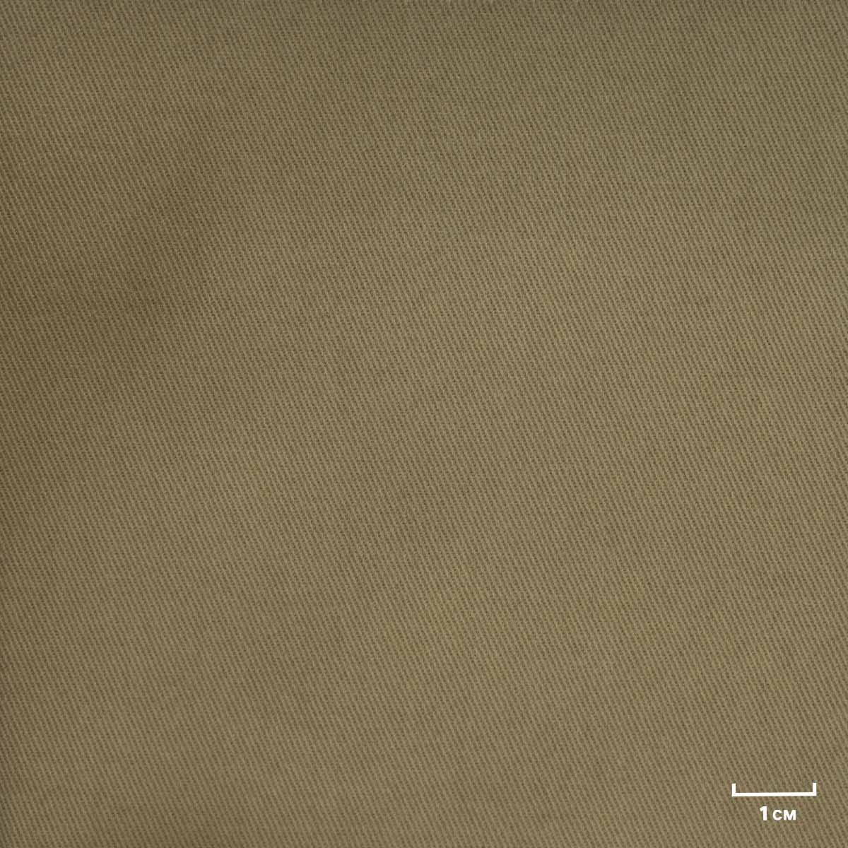 [824720] OLIVE, PLAIN