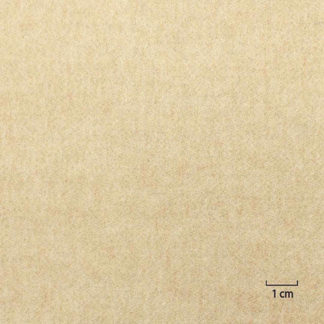 [824810] TAN, PLAIN