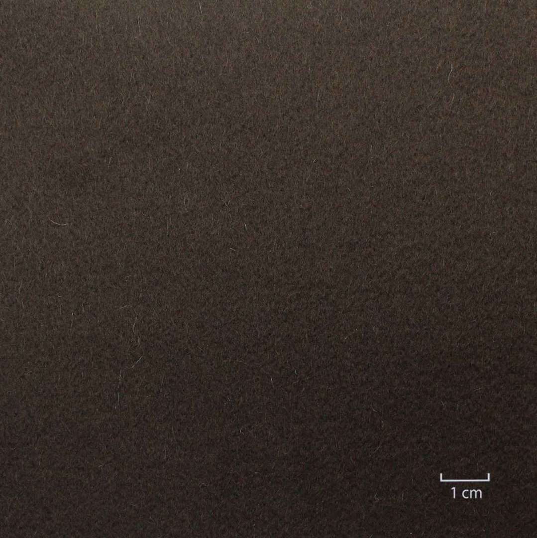 [824812] DARK BROWN, PLAIN