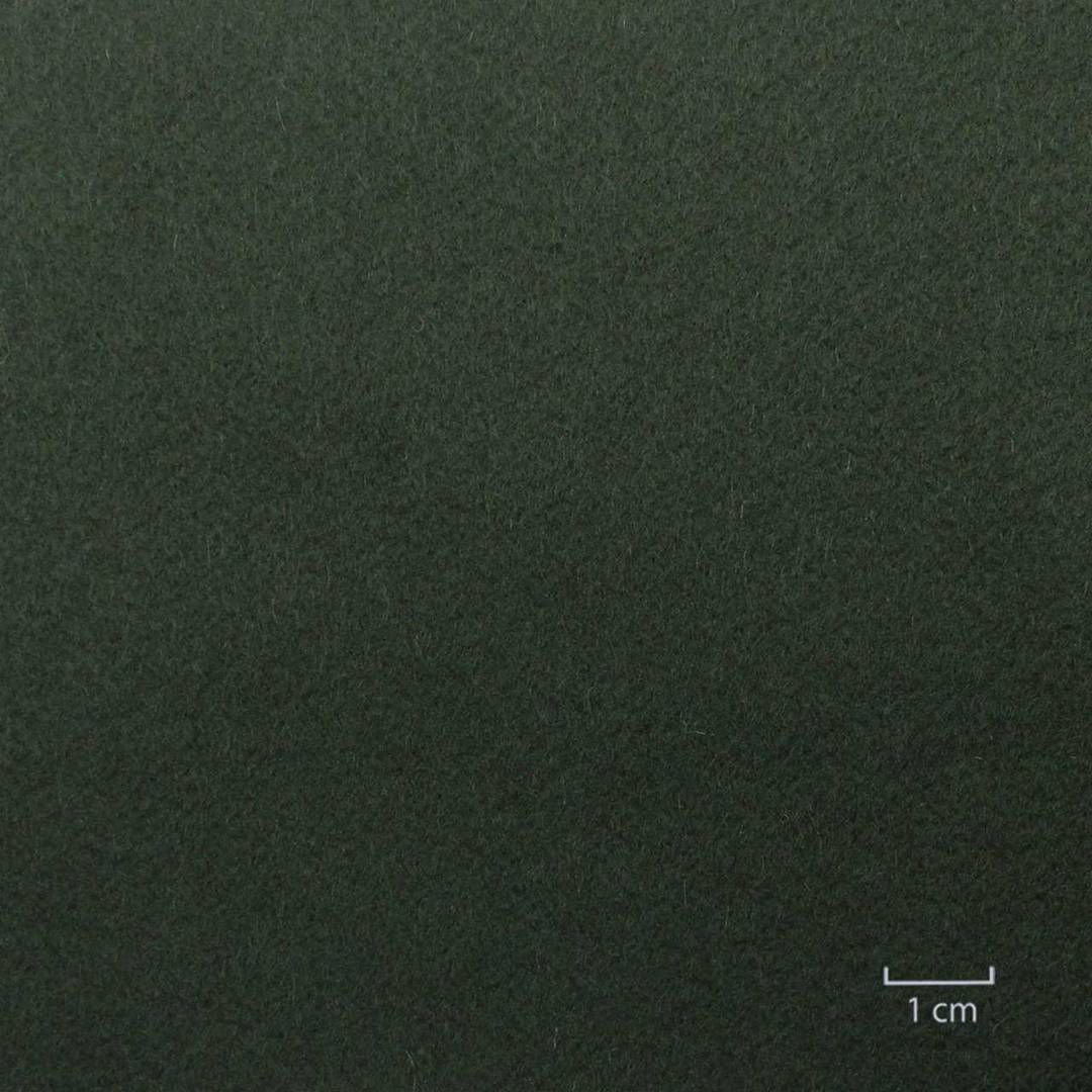 [824813] DARK GREEN, PLAIN