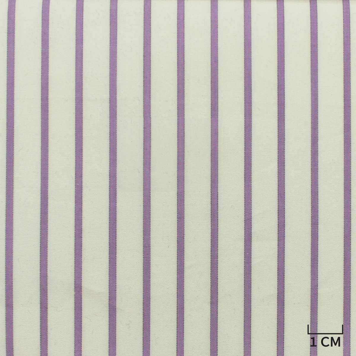[H10409] WHITE, PURPLE STRIPES