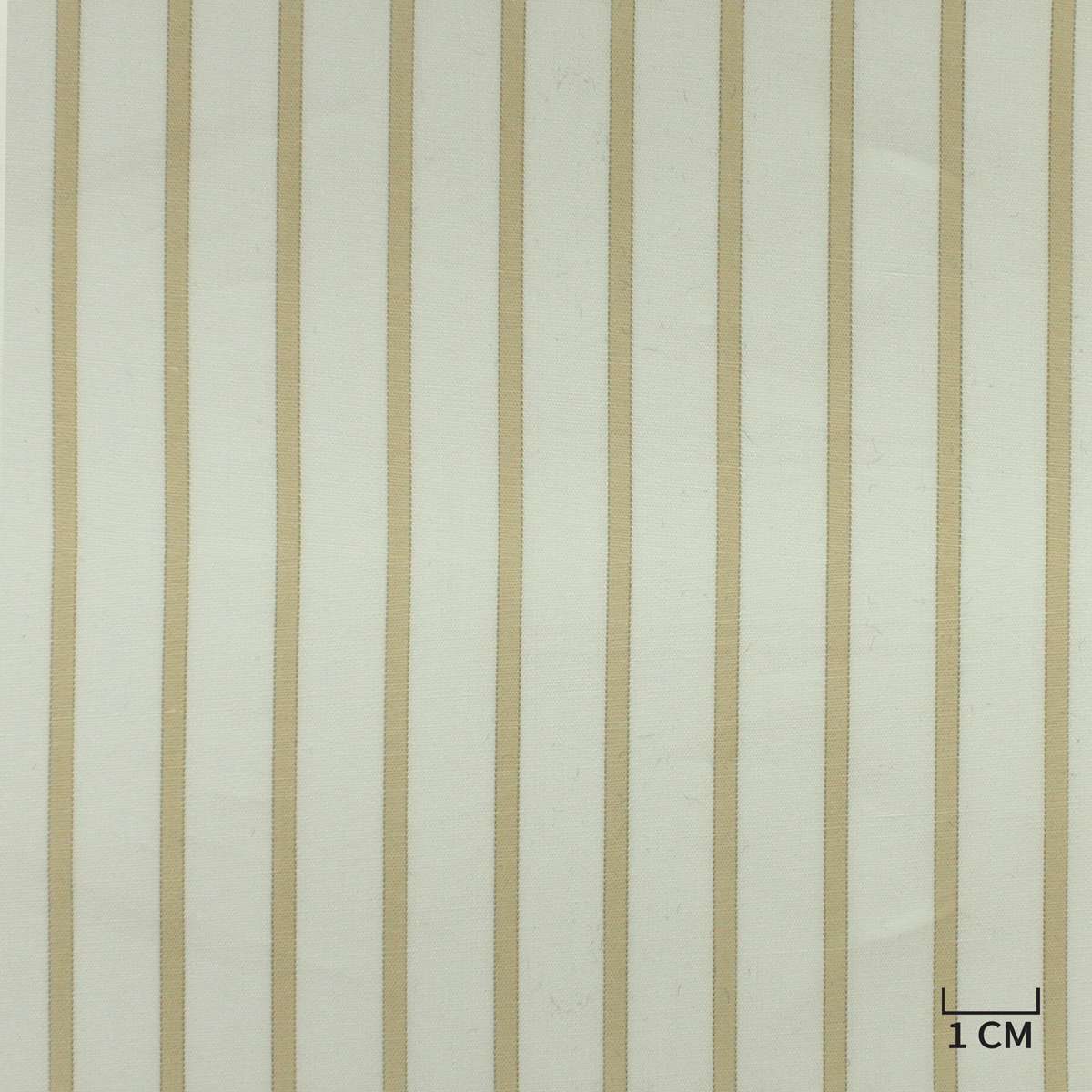 [H10415] WHITE, KHAKI STRIPES