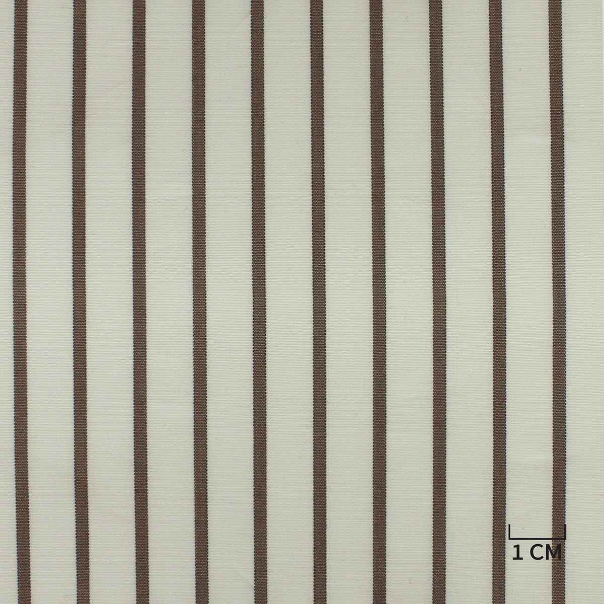 [H10416] WHITE, BROWN STRIPES