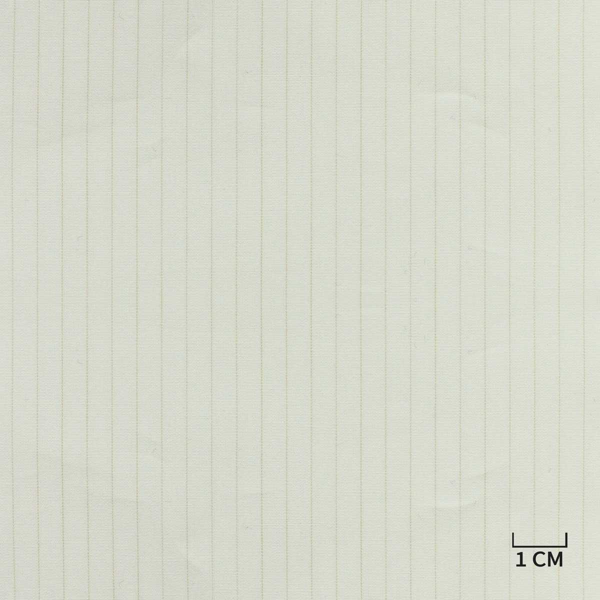 [H10427] WHITE, TAN STRIPES