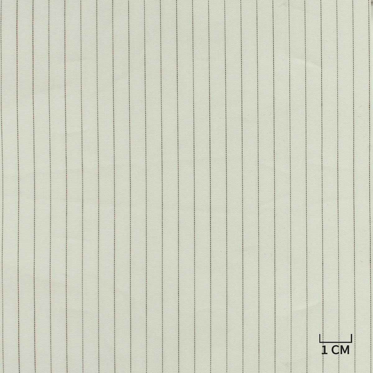 [H10428] WHITE, BROWN STRIPES
