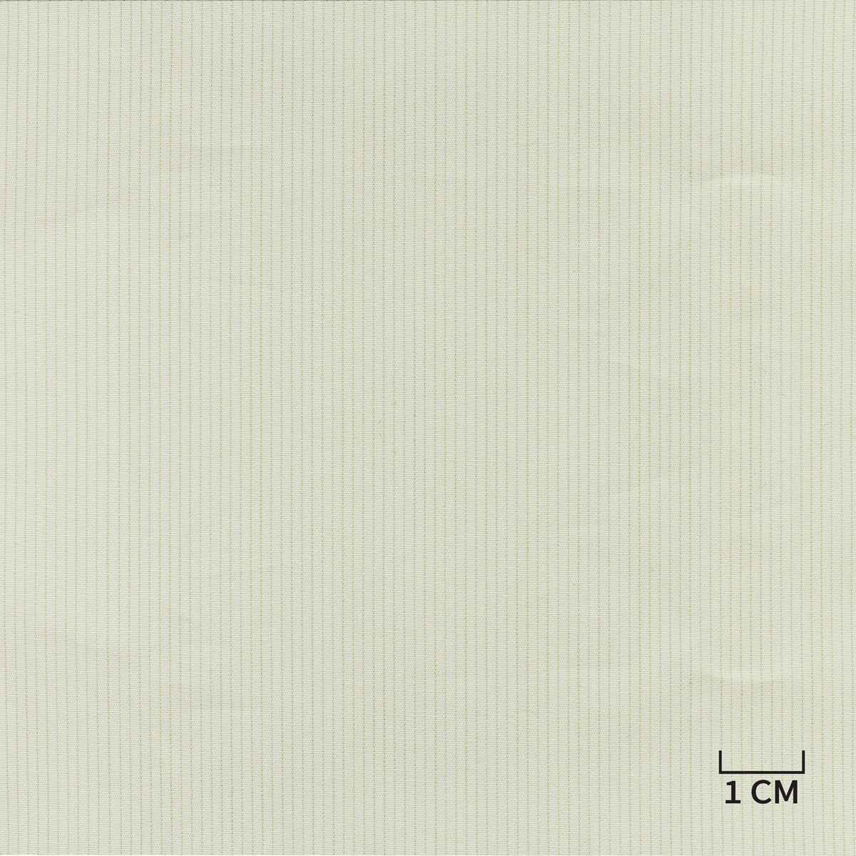 [H10431] WHITE, TAN STRIPES