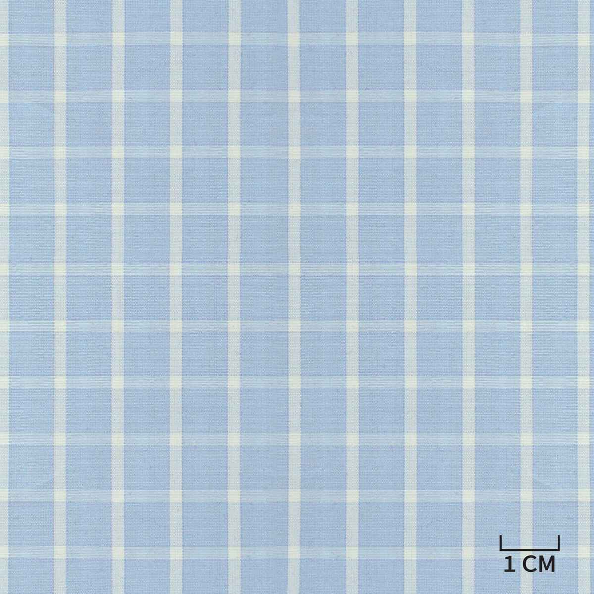 [H10435] BLUE, WHITE CHECKS