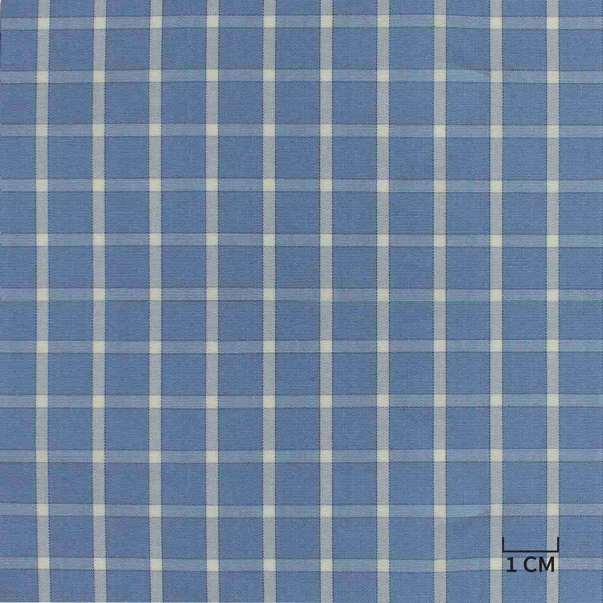 [H10436] BLUE, WHITE CHECKS