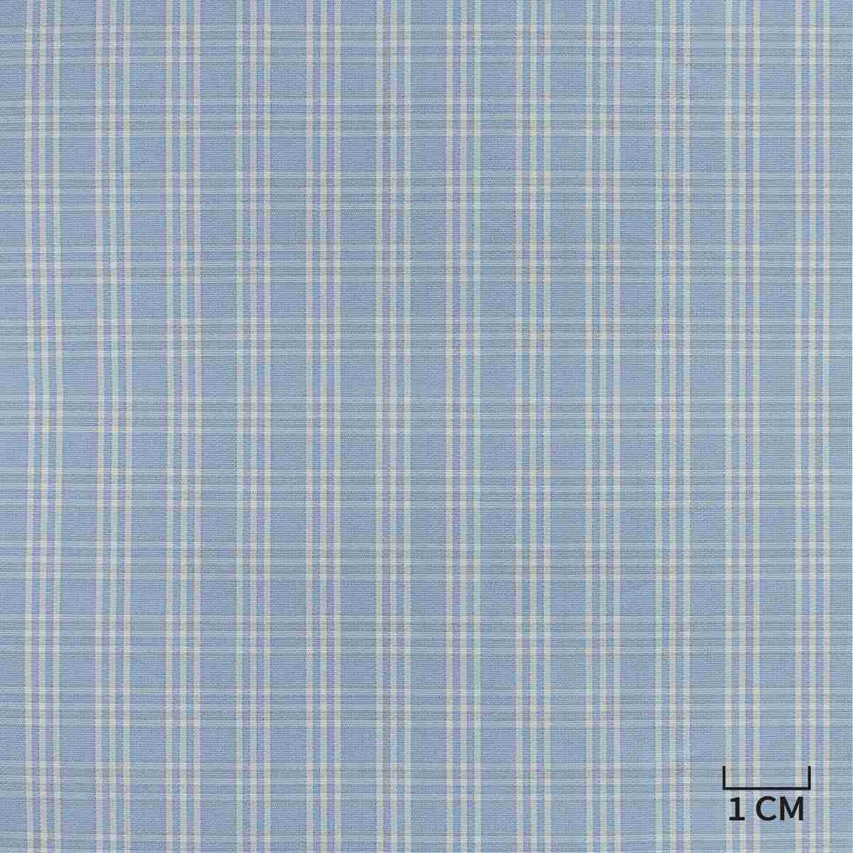 [H10438] BLUE, WHITE CHECKS