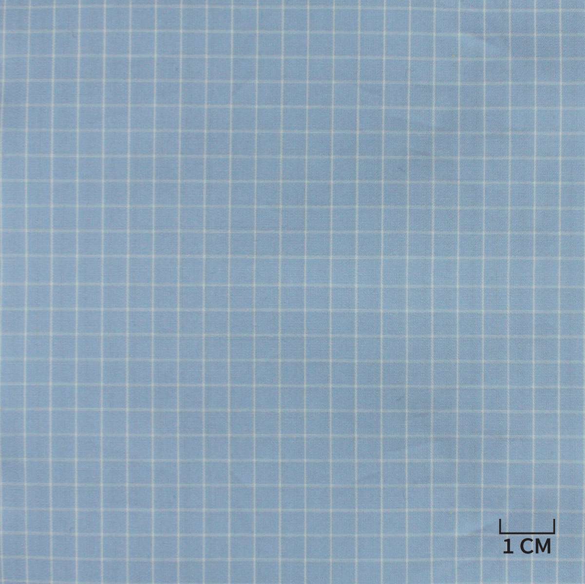 [H10441] BLUE, WHITE CHECKS