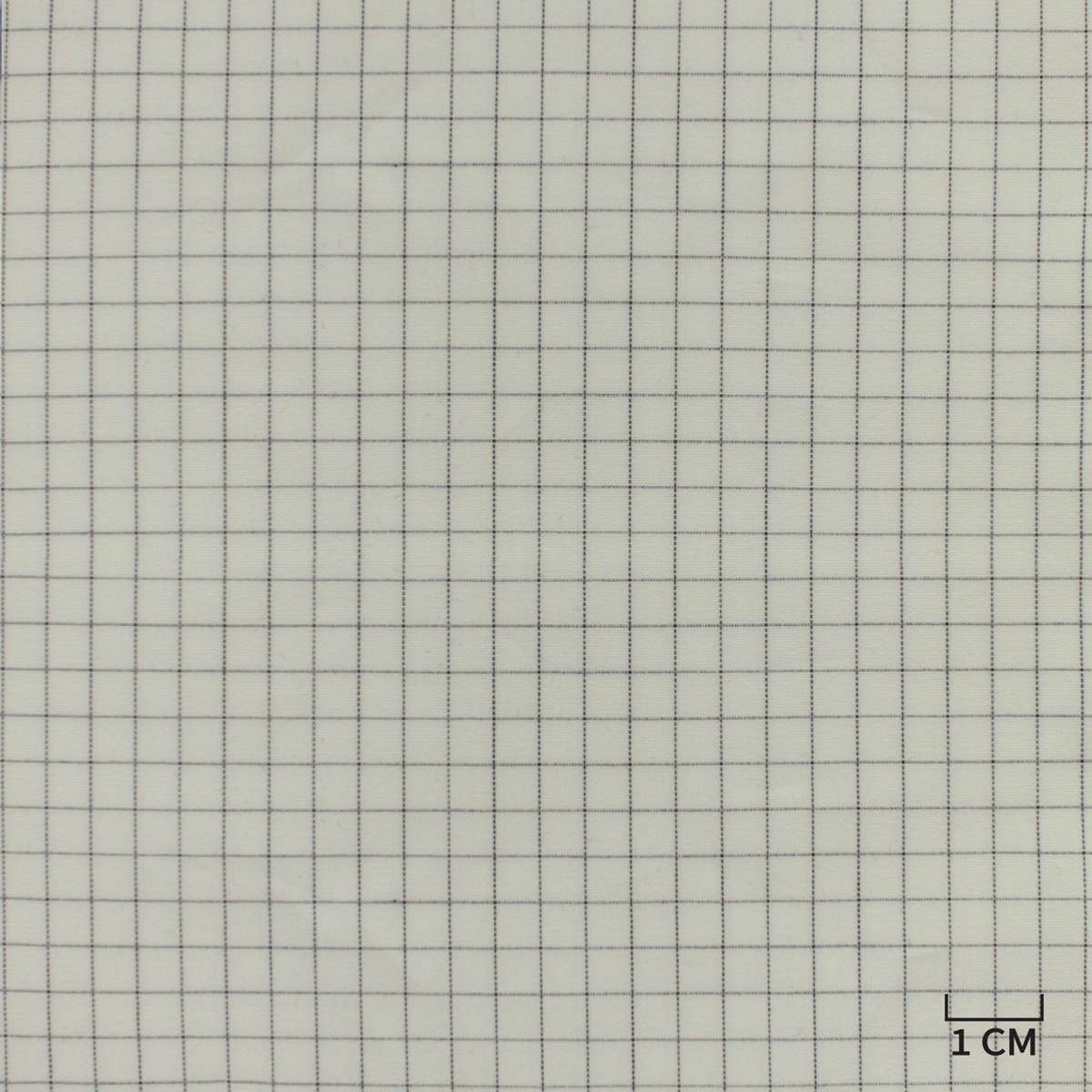 [H10442] WHITE, DARK BLUE CHECKS