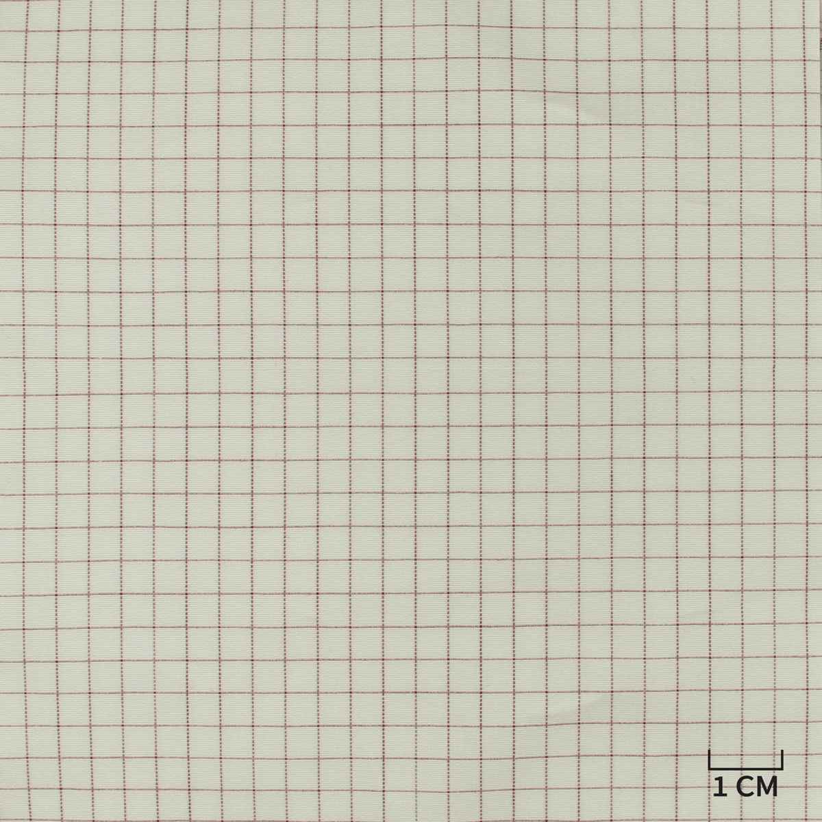 [H10449] WHITE, PURPLE CHECKS