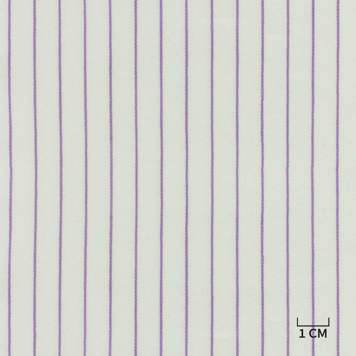 [H10475] WHITE, PURPLE STRIPES