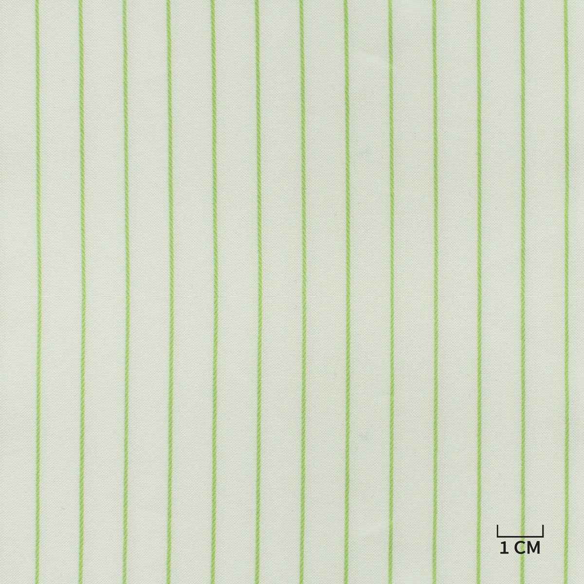 [H10479] WHITE, GREEN STRIPES